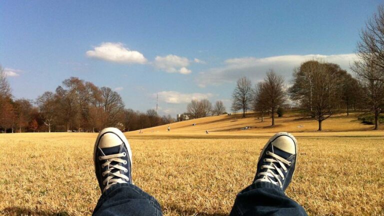 What Are The Benefits Of Owning An 11Xplay Premium Id?